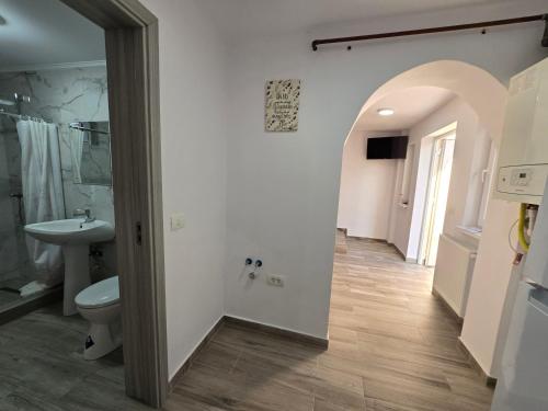a bathroom with a toilet and a sink at CASA de ACASA in Vintu De Jos