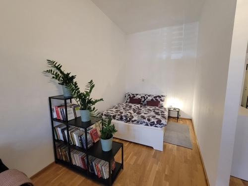 Fotografie z fotogalerie ubytování Filip Apartman v destinaci Sopron