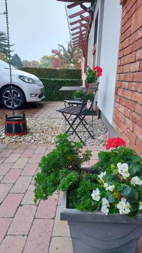 a patio with a table and flowers in a pot at Titi Boutique Apartmanok in Bükfürdő