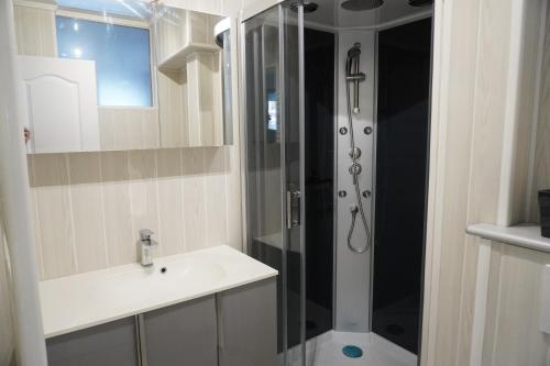 une salle de bain avec douche et lavabo dans l'établissement Le Minck, à Calais