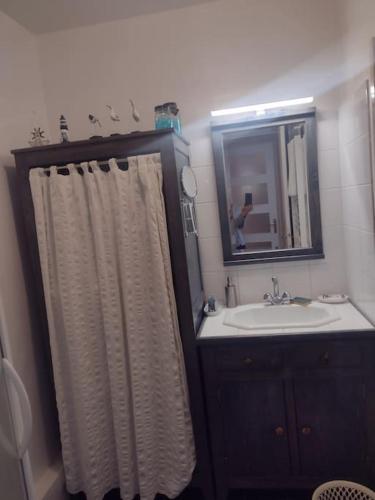 une salle de bain avec un lavabo et un rideau de douche dans l'établissement Petit appartement - Quartier Vaugueux Château, à Caen