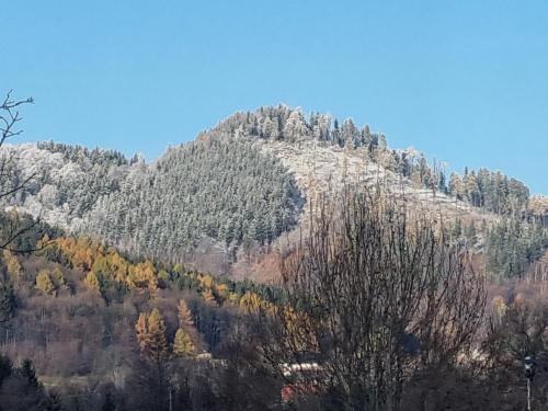 a mountain covered in trees with at Apartament exclusive Głuszyca in Głuszyca