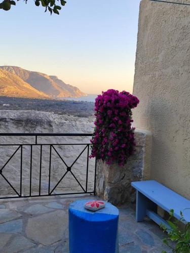 a blue bench next to a wall with purple flowers at Pano Chorio Tilos in Megálon Choríon