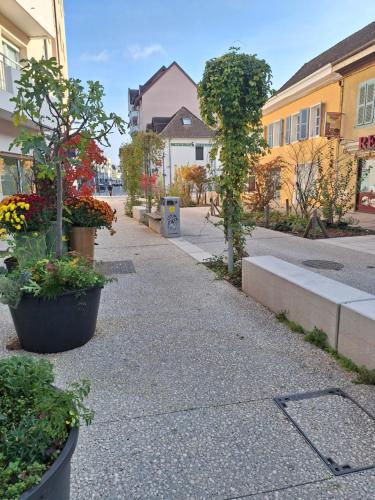 an empty street with plants in pots and buildings at Chez Manon - Le Cocon Zen in Rumilly