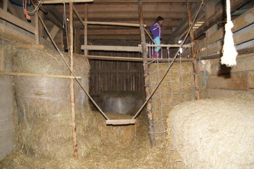 a woman standing on a platform in a barn with hay at Bio-Erlebnisbauernhof Doll in Nittenau