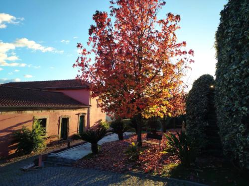a tree with red leaves in front of a building at Quinta de Baixo in Vila Marim