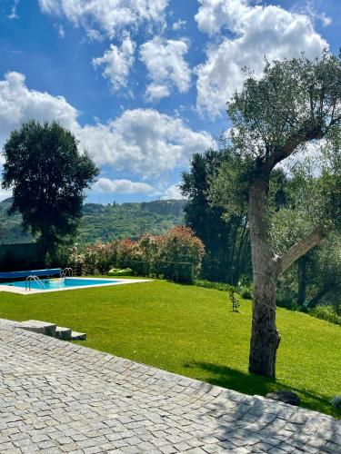 a tree sitting in the grass next to a pool at Casa da nascente douro in Paços de Gaiolo
