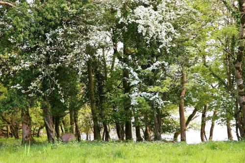 Photo de la galerie de l'établissement Key Cottage, à Boyle