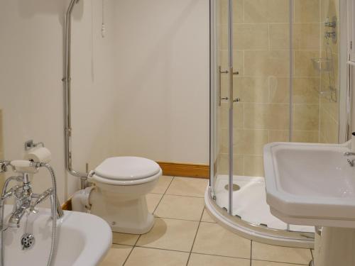 a bathroom with a shower and a toilet and a sink at The Byres in Greenhaugh