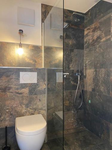 a bathroom with a toilet and a glass shower at Im grünen aber in 20min in Basel in Ettingen