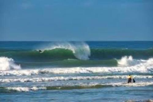 Paesaggio naturale nelle vicinanze dell'appartamento