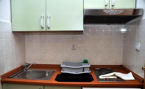 a kitchen counter top with a sink and a sink at Riva Apartments in Živogošće