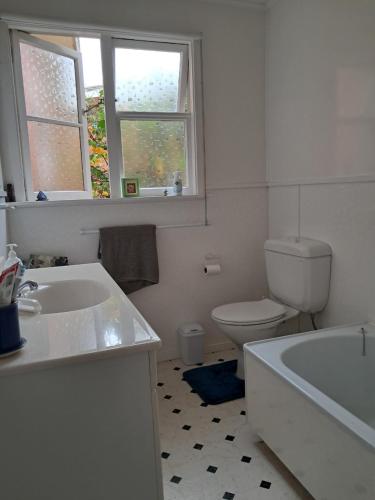 a bathroom with a toilet and a sink and a tub at Niloc in Waimate