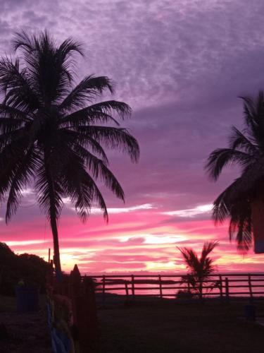 a sunset on the beach with a palm tree at Hotel EL PALMAR TOURS in Arboletes