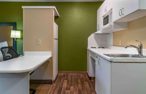 a small kitchen with a sink and green walls at Extended Stay America Suites - Detroit - Ann Arbor - Briarwood Mall in Ann Arbor