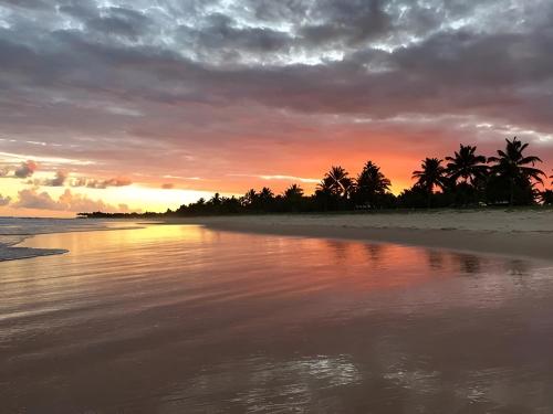 a sunset on a beach with palm trees and the water at Lindo Apto Águas de Guarajuba in Guarajuba