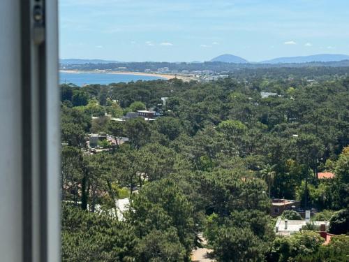 プンタ・デル・エステにあるPiso 16 Punta del Este, Ocean Drive Countryの木々と湖の景色