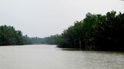 a river with trees on the side of it at Ben Tre Farm Stay in Ben Tre