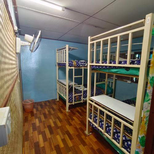 a room with two bunk beds in a room at Sunny house hostel in Pai