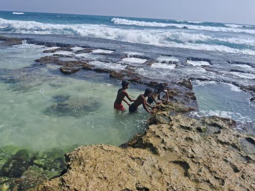 three children playing in the water at the beach at Turtle Beach Talpe in Talpe