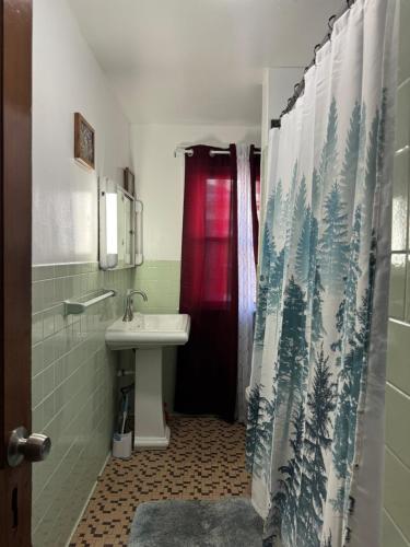 a bathroom with a sink and a shower curtain at Ferry Getaway Home! in Niagara Falls