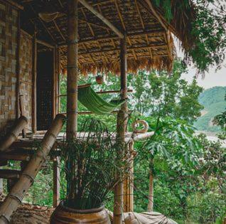 a building with a plant in front of it at ecolodge khamu homestay guesthouse in Ban Pang Hat