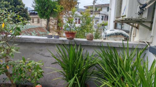a window sill with plants on a balcony at Shexian Shendu Tianggang Farm Stay in Huangshan
