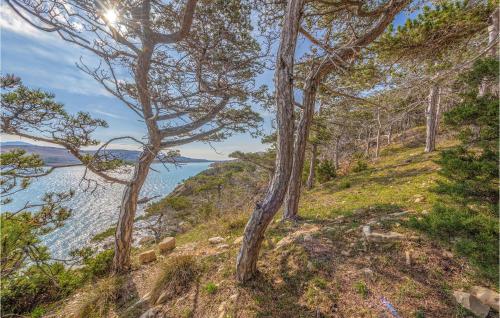 Cozy Apartment In Novalja With House Sea View
