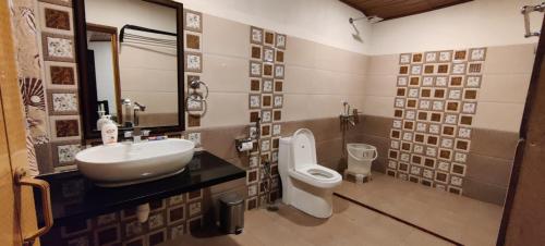 a bathroom with a sink and a toilet and a mirror at Halli Hithalu Homestay in Chikmagalūr