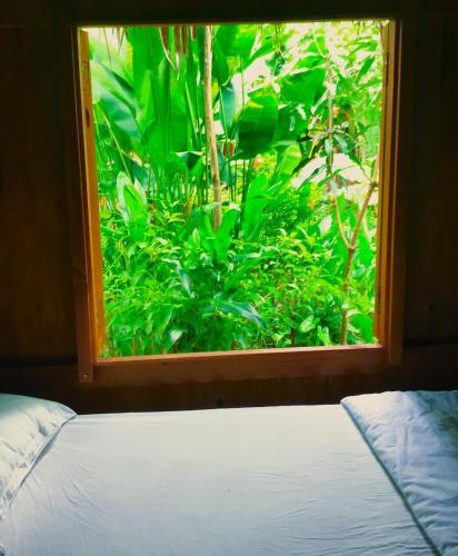 a bedroom window with a view of a green plant at Ben Tre Farm Stay in Ben Tre