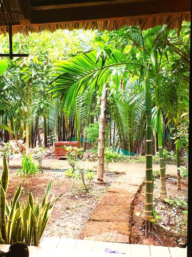 a tropical garden with a palm tree and plants at Ben Tre Farm Stay in Ben Tre