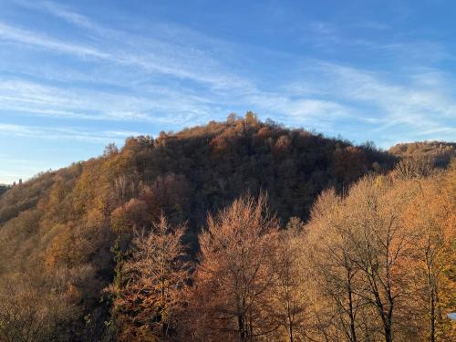 a hill covered in trees in the distance at Ai 4 Gatti B&B in Camandona