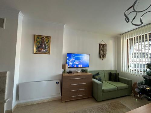 a living room with a green couch and a tv at Mountain View, Grand Monastery Pamporovo, top location in Pamporovo