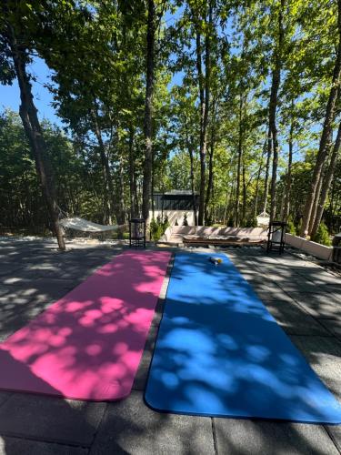 a blue and pink carpet with trees in the background at Zen Villas 1 - Zen Retreat in Gjilan