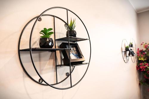 a mirror hanging on a wall with potted plants at Liro Hotel Viersen in Viersen
