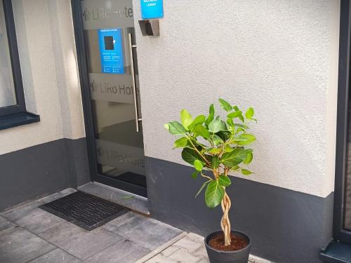 a plant in a pot in front of a door at Liro Hotel Viersen in Viersen