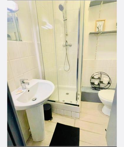 une salle de bain avec un lavabo, une douche et des toilettes dans l'établissement Studio entier 1 pièce et salle de bain, à Lille