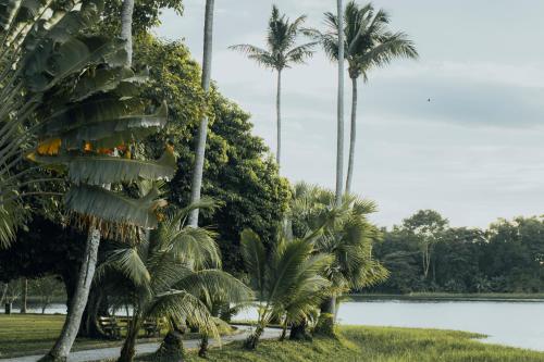 a group of palm trees and a body of water at Inya Lake Hotel Yangon in Yangon
