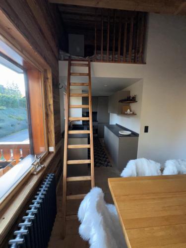 Cette chambre dispose d'une échelle menant à un lit superposé. dans l'établissement Duplex aux pieds des pistes à Rochebrune, à Megève