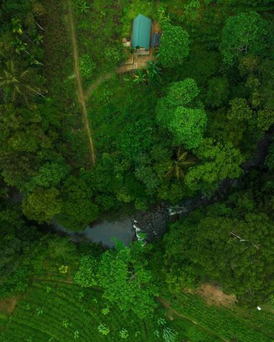 an overhead view of a forest with a house and a river at Rainforest cabin in Deniyaya