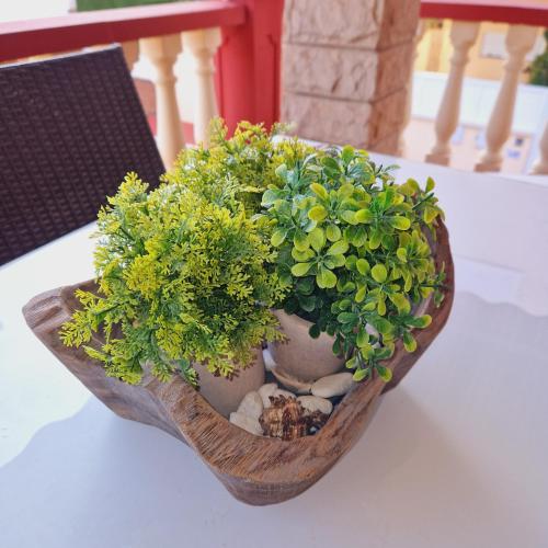 a vase filled with plants and rocks on a table at Chalet Playa Chilches in Chilches