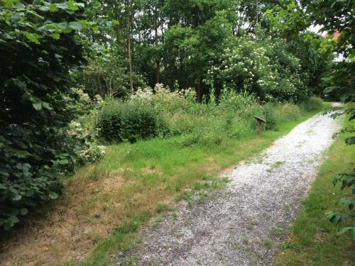 a dirt road next to a field with trees at B&B 't Buitenkansje in Almere