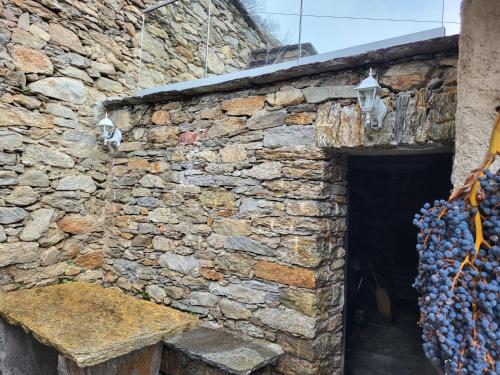 a stone wall with a bunch of grapes hanging from it at Oasis di Riposa in Semione