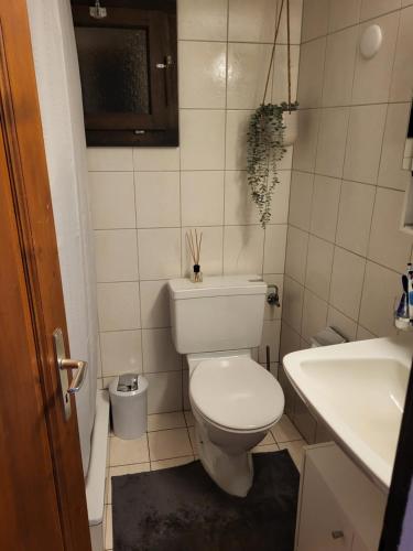 a small bathroom with a toilet and a sink at Oasis di Riposa in Semione