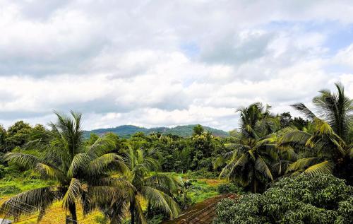 Gallery image of Happy Moon Homestay in Aldona