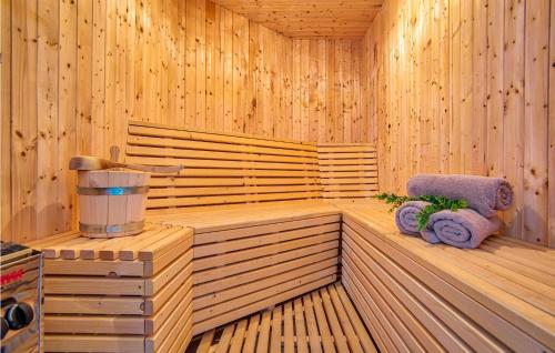 un sauna en bois avec un mixeur et deux serviettes dans l'établissement Pet Friendly Home In Naselje Muzini, à Tomišići