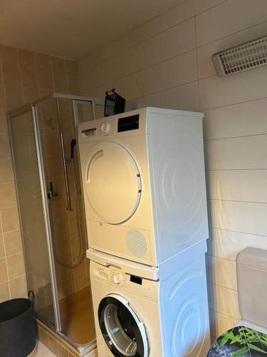 a washing machine in a bathroom with a shower at Full Sun Lodge in Vétroz