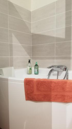 a bathroom with a sink and two bottles on a shelf at Gîte du Ka'lao in Saint-Julien