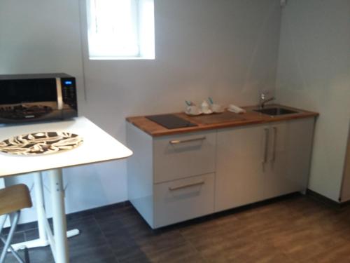Η κουζίνα ή μικρή κουζίνα στο Appartement au bord de la Sèvre Nantaise