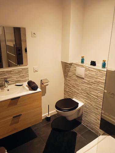 a bathroom with a toilet and a sink at Balnéo SPA Allevard in Allevard